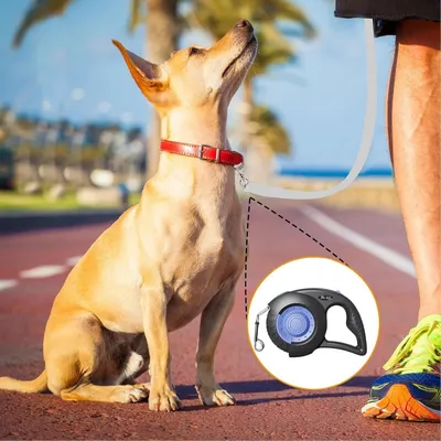 Rollleine mit ABS-Handbremse für Hunde, für draußen, Strand & Camping.