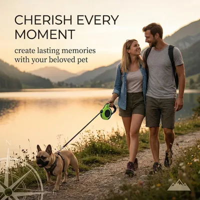 HausPets Laisse Chien Rétractable 5M Verte Ergonomique Jusqu'à 15kg HausPets Laisse Chien Rétractable 5M Verte Ergonomique Jusqu'à 15kg