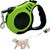 1 Article