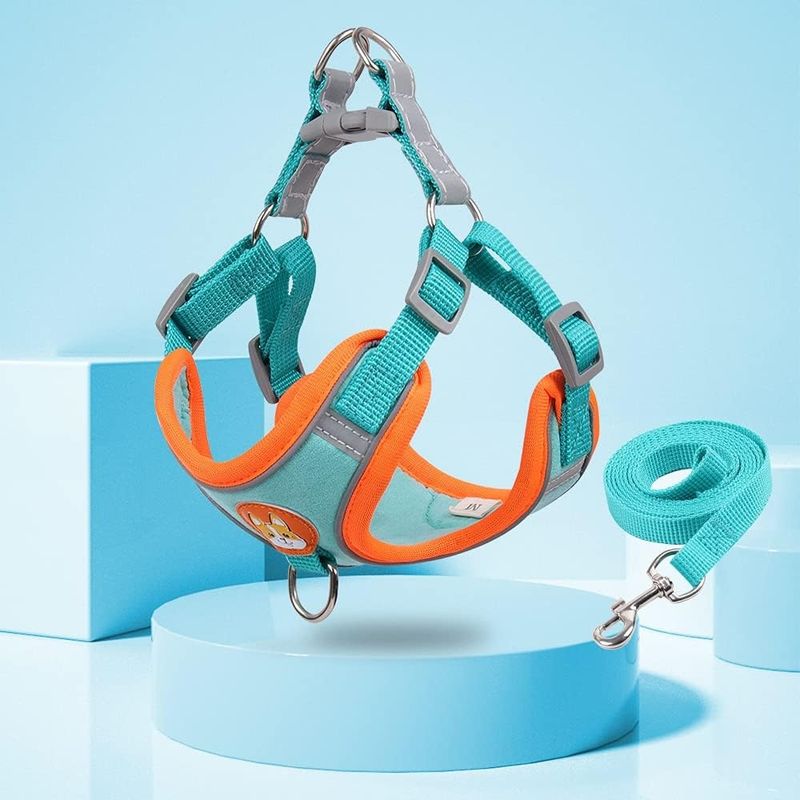 Reflective soft mesh padded harness for small dogs/cats, double leash clips