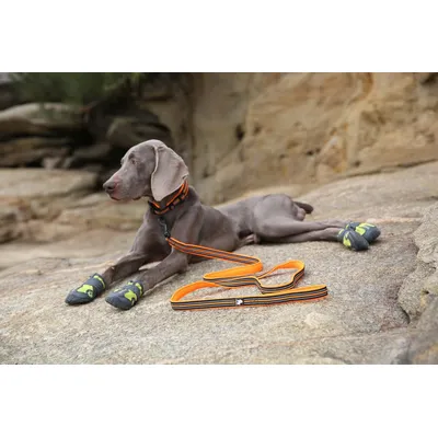HausPets Hundeleine 200cm reflektierend orange HausPets Hundeleine 200cm reflektierend orange
