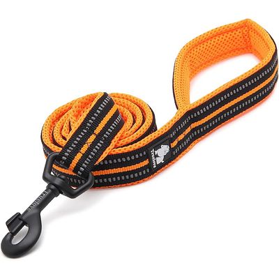 HausPets Hundeleine 200cm reflektierend orange