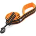 HausPets Hundeleine 200cm reflektierend orange