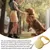 HausPets Laisse Chien Rétractable 3M Nylon Tressé Petit Moyen Chien Jaune HausPets Laisse Chien Rétractable 3M Nylon Tressé Petit Moyen Chien Jaune