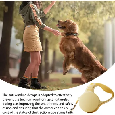 HausPets Laisse Chien Rétractable 3M Nylon Tressé Petit Moyen Chien Jaune HausPets Laisse Chien Rétractable 3M Nylon Tressé Petit Moyen Chien Jaune