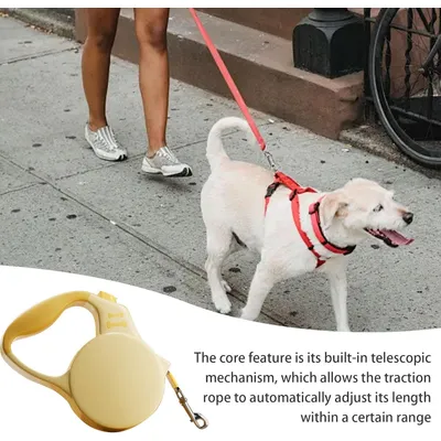 HausPets Laisse Chien Rétractable 3M Nylon Tressé Petit Moyen Chien Jaune HausPets Laisse Chien Rétractable 3M Nylon Tressé Petit Moyen Chien Jaune