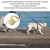 HausPets Laisse Chien Rétractable 3M Nylon Tressé Petit Moyen Chien Jaune HausPets Laisse Chien Rétractable 3M Nylon Tressé Petit Moyen Chien Jaune