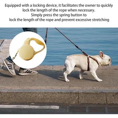 HausPets Laisse Chien Rétractable 3M Nylon Tressé Petit Moyen Chien Jaune HausPets Laisse Chien Rétractable 3M Nylon Tressé Petit Moyen Chien Jaune