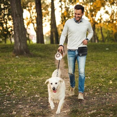 HausPets Laisse Chien Rétractable 3M Nylon Tressé Petit Moyen Chien Jaune