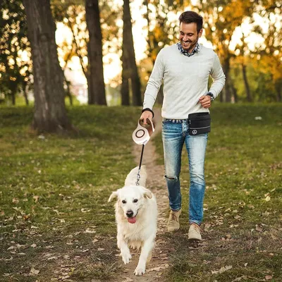 HausPets Laisse Chien Rétractable 3M Nylon Tressé Petit Moyen Chien Jaune HausPets Laisse Chien Rétractable 3M Nylon Tressé Petit Moyen Chien Jaune