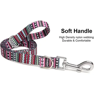 HausPets Laisse nylon mauve 120cm 2 anneaux D HausPets Laisse nylon mauve 120cm 2 anneaux D