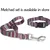HausPets Laisse nylon mauve 120cm 2 anneaux D HausPets Laisse nylon mauve 120cm 2 anneaux D