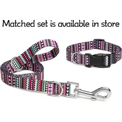 HausPets Laisse nylon mauve 120cm 2 anneaux D HausPets Laisse nylon mauve 120cm 2 anneaux D