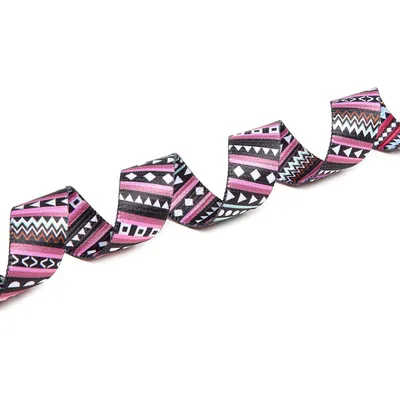 HausPets Laisse nylon mauve 120cm 2 anneaux D HausPets Laisse nylon mauve 120cm 2 anneaux D