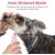 Tondeuse pattes silencieuse rechargeable LED chat chien rose Tondeuse pattes silencieuse rechargeable LED chat chien rose