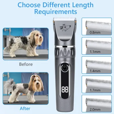 Tondeuse chien pro sans fil lames céramique LCD 5 vitesses lavable Tondeuse chien pro sans fil lames céramique LCD 5 vitesses lavable