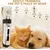 Tondeuse chien pro IPX7 sans fil 5 vitesses écran LCD lames céramique Tondeuse chien pro IPX7 sans fil 5 vitesses écran LCD lames céramique