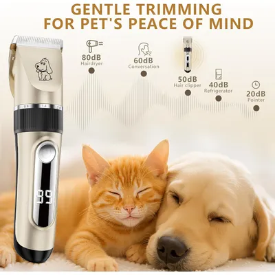 Tondeuse chien pro IPX7 sans fil 5 vitesses écran LCD lames céramique Tondeuse chien pro IPX7 sans fil 5 vitesses écran LCD lames céramique