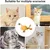 Bâton à ronger chat cataire anti ennui dressage chatons toutes races Bâton à ronger chat cataire anti ennui dressage chatons toutes races