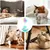 HausPets Jouet boule de piste chat avec plume et cloche HausPets Jouet boule de piste chat avec plume et cloche