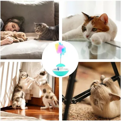 HausPets Jouet boule de piste chat avec plume et cloche HausPets Jouet boule de piste chat avec plume et cloche