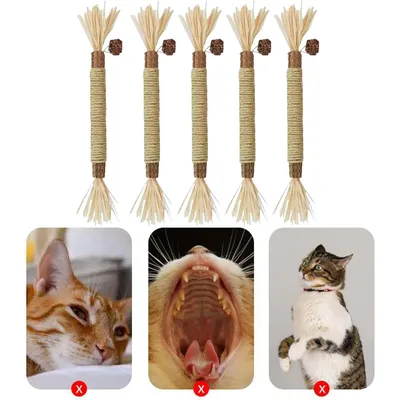 5 pièces bâtonnets cataire naturels à mâcher jouets silvervine chat