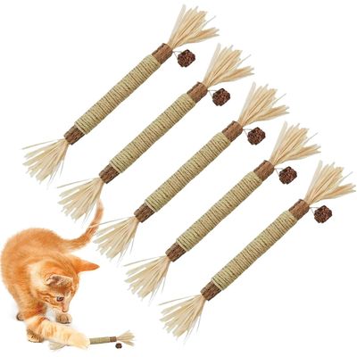 5 pièces bâtonnets cataire naturels à mâcher jouets silvervine chat