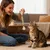 5 pièces bâtonnets cataire naturels à mâcher jouets silvervine chat