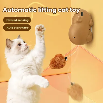 Teaser électrique rechargeable avec élévation auto chatons moyens grands Teaser électrique rechargeable avec élévation auto chatons moyens grands
