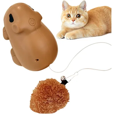 Teaser électrique rechargeable avec élévation auto chatons moyens grands Teaser électrique rechargeable avec élévation auto chatons moyens grands