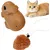 Teaser électrique rechargeable avec élévation auto chatons moyens grands Teaser électrique rechargeable avec élévation auto chatons moyens grands