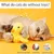 Jouet interactif électrique chat intérieur