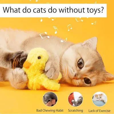 Jouet interactif électrique chat intérieur