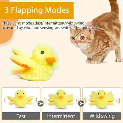 Jouet interactif électrique chat intérieur