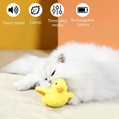 Jouet interactif électrique chat intérieur
