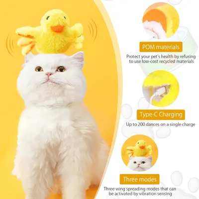 Jouet interactif électrique chat intérieur
