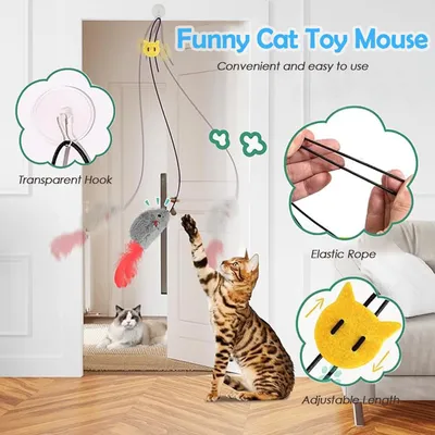 Lot 5 jouet suspendu chat souris plumes balle herbe chat chasser Lot 5 jouet suspendu chat souris plumes balle herbe chat chasser