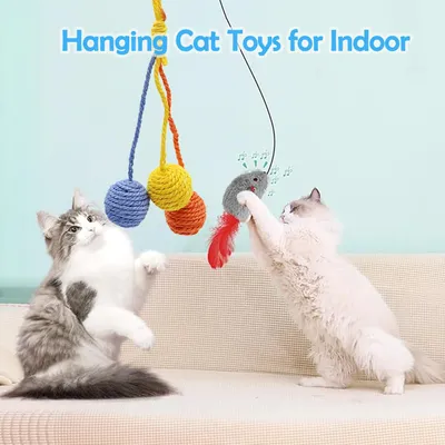 Lot 5 jouet suspendu chat souris plumes balle herbe chat chasser Lot 5 jouet suspendu chat souris plumes balle herbe chat chasser