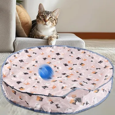 HausPets Tapis de jeu universel pour chats Trois vitesses HausPets Tapis de jeu universel pour chats Trois vitesses