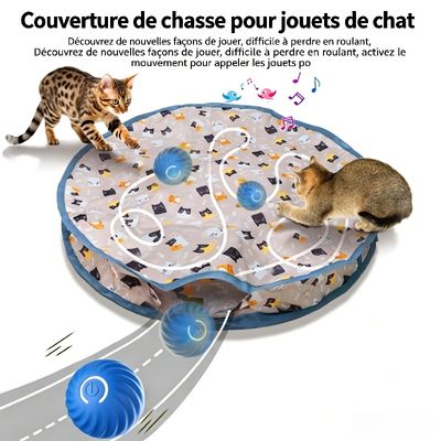 HausPets Tapis de jeu universel pour chats Trois vitesses