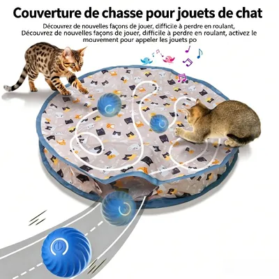 HausPets Tapis de jeu universel pour chats Trois vitesses HausPets Tapis de jeu universel pour chats Trois vitesses