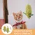 Lot 2 souris peluche herbe chat légère interactif chat intérieur Lot 2 souris peluche herbe chat légère interactif chat intérieur