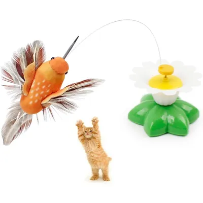 Jeu interactif électrique chat papillons rotation aléatoire Jeu interactif électrique chat papillons rotation aléatoire