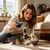 Jouet papillon automatique chat exercice interactif anti ennui Jouet papillon automatique chat exercice interactif anti ennui