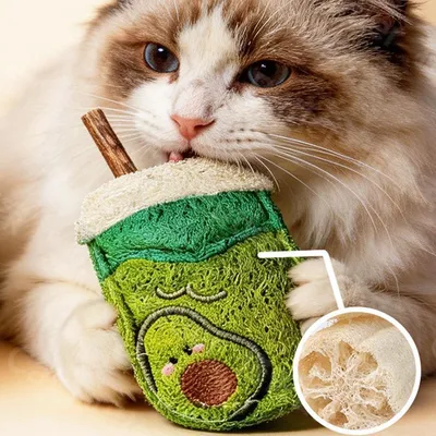 Jouets à mâcher luffa naturelle chat soins dentaires vigne argentée Jouets à mâcher luffa naturelle chat soins dentaires vigne argentée