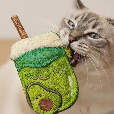 Jouets à mâcher luffa naturelle chat soins dentaires vigne argentée Jouets à mâcher luffa naturelle chat soins dentaires vigne argentée