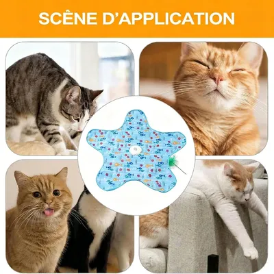 HausPets Jouet interactif pour chats Jouet éducatif en forme d'étoile HausPets Jouet interactif pour chats Jouet éducatif en forme d'étoile