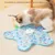 HausPets Jouet interactif pour chats Jouet éducatif en forme d'étoile HausPets Jouet interactif pour chats Jouet éducatif en forme d'étoile