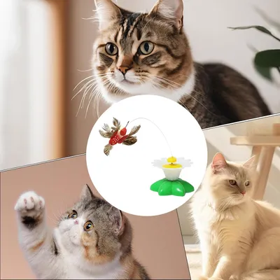 Teaser électrique papillon oiseau rotatif 360 degrés chat chien chaton Teaser électrique papillon oiseau rotatif 360 degrés chat chien chaton