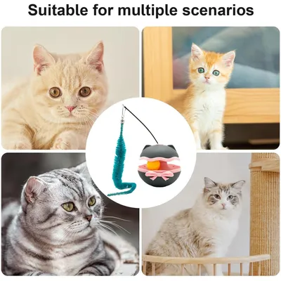 Jouet électrique rotatif piles interactif maison salon chambre